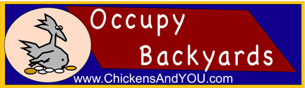 occupy bumper